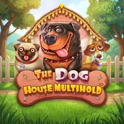 The Dog House Multihold gra w Betalice Casino dla graczy z Polski The Dog House Multihold gra w Betalice Casino dla graczy z Polski